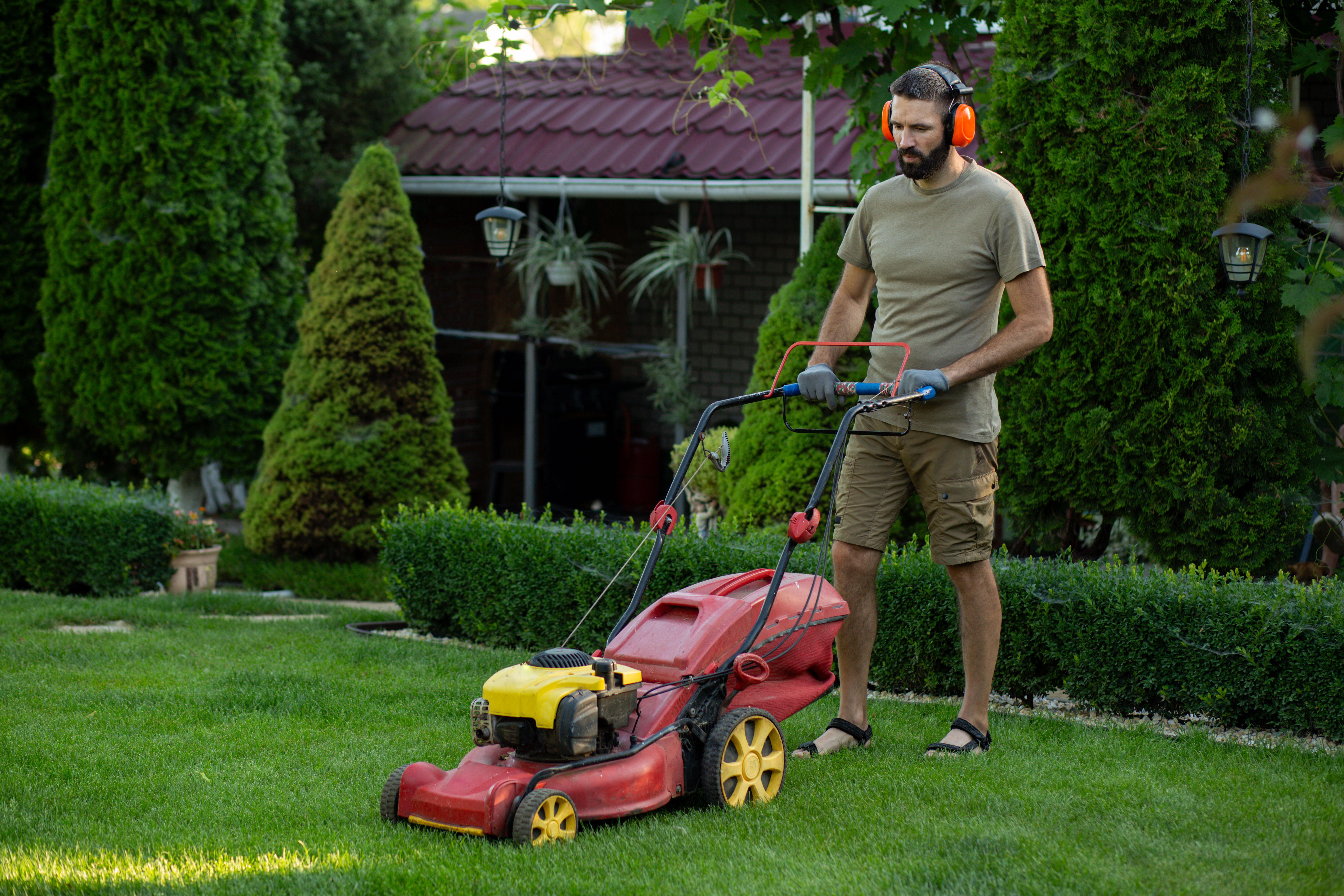 Bearded man wearing protective ear muffs and gloves mowing a green lawn with a gasoline-powered lawn mower in a well-maintained backyard garden. Male gardener in khaki t-shirt and shorts doing summer yard maintenance near trimmed hedges and a country house.
